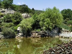 -北京西山国家森林公园