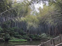 -竹园小居(石塘竹海店)
