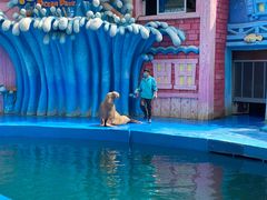 -华夏文旅海洋公园