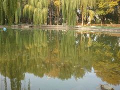 玲珑公园-玲珑塔公园