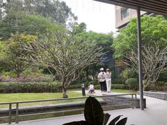 -南宁荔园维景国际酒店·荔园中餐厅