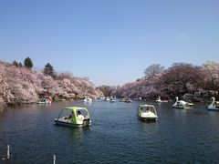 -井之头恩赐公园