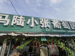 -马陆小张葡萄园农家乐