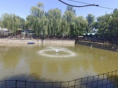-尚庄度假村·庭台树下·户外烧烤·团建CS·轰趴营地(上庄水库店)