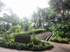 -九龙公园