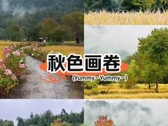 -塔川景区