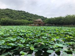 -李小龙乐园(顺德均安店)