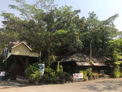 -绿光森林餐厅