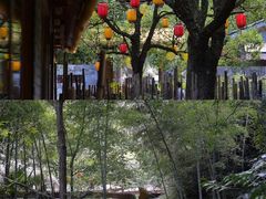 -宁波五龙潭景区