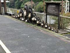 -岚山嵯峨野观光小火车
