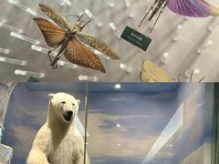 -国家自然博物馆