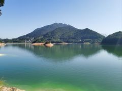 -广州市流溪河国家森林公园