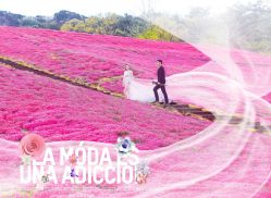 -玛奇朵婚纱摄影