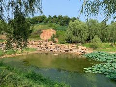 -莫子山公园