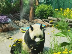 -大连森林动物园