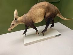 -国家自然博物馆