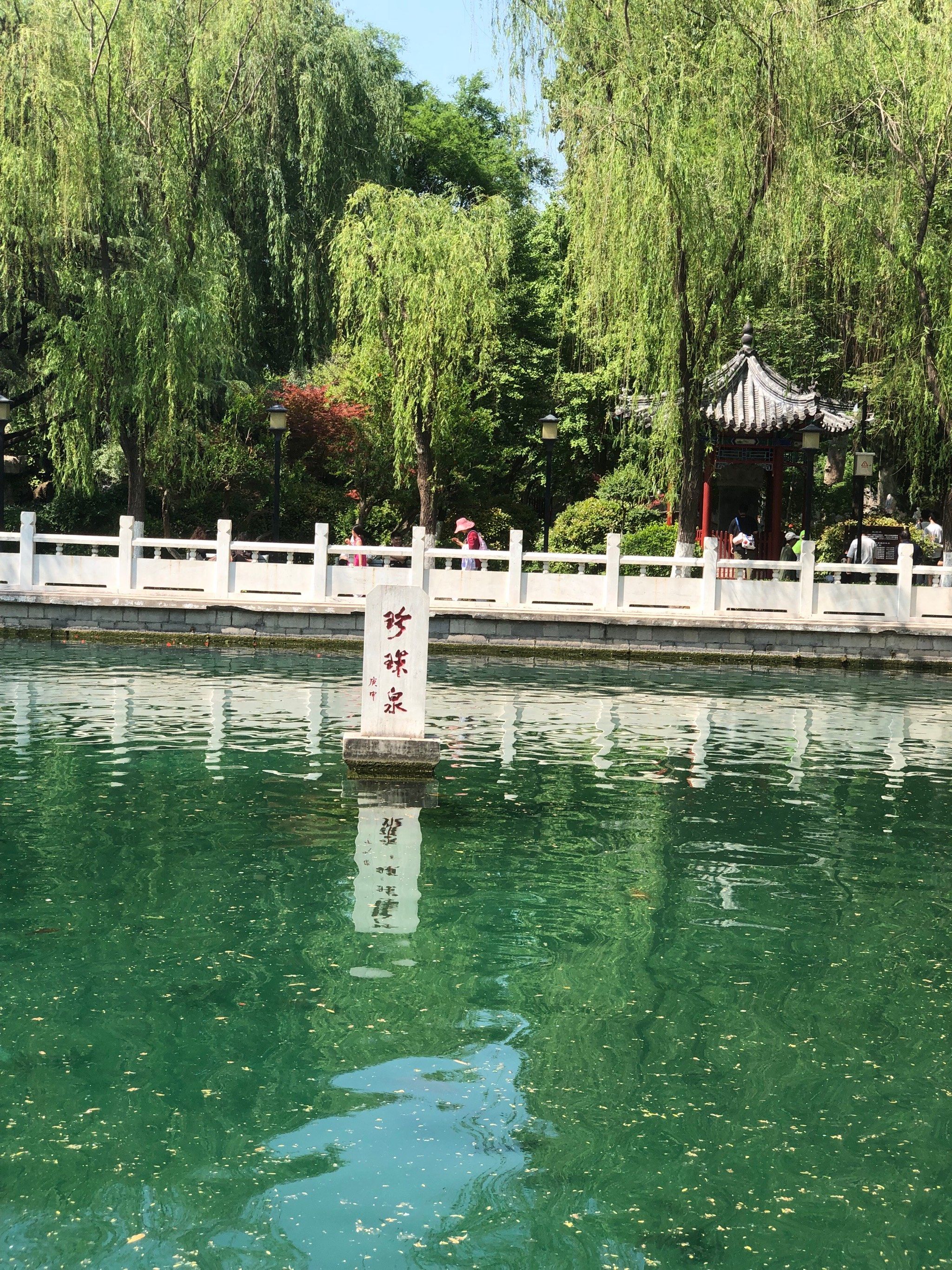 济南小众打卡珍珠泉