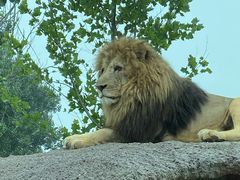 -北京野生动物园