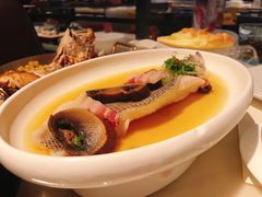 特别鲈鱼-港丽餐厅(高德置地店)