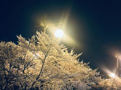 -西安曲江寒窑遗址公园
