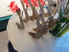 -1718海鲜姿造(苏宁宴请臻选店)
