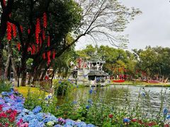 -荔湾湖公园