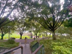 -南宁南湖公园