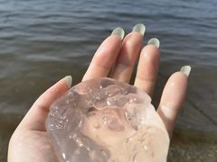 -海源公园