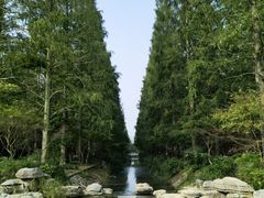 -东平国家森林公园