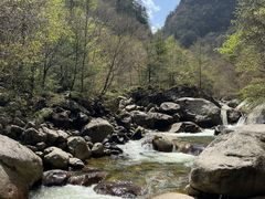 -青峰峡国家森林公园