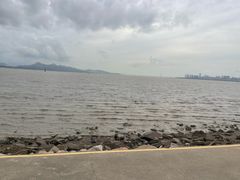 -深圳湾公园(南山区)