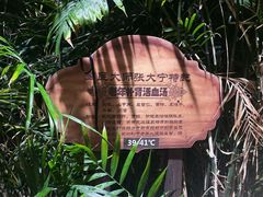 -龙达温泉生态城