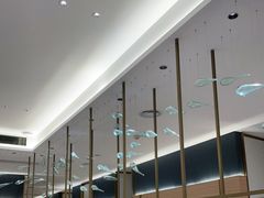 -红鼎豆捞·非遗鲍皇汤火锅(宝丰路店)