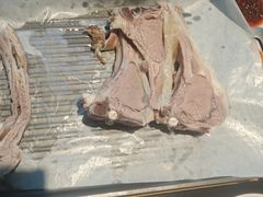 -青海名吃尕张娃非遗烤肉(城中店)