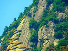 -陕西省红河谷森林公园