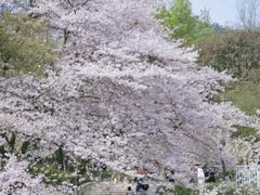 -杭州少年儿童公园