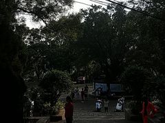 -青芝山风景名胜区