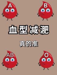 -Fundi张玉珊修身堂·indiba·BTL科技瘦身