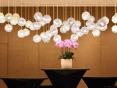 -苏州金鸡湖文博诺富特酒店