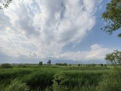 -野鸭湖国家湿地公园