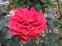 -人民公园(罗湖区)