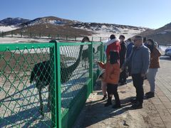 -新疆天山野生动物园