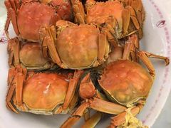 -金燕岛潮州酒楼