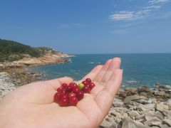-广东惠东海龟国家级自然保护区