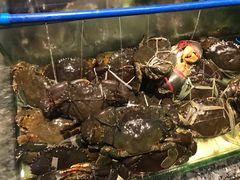 -Isla Sugbu Seafood City