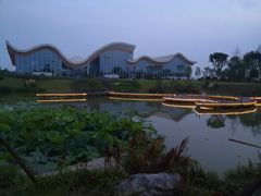 -桤木河湿地公园