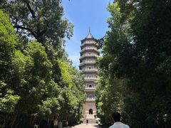 -灵谷景区