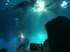 -海棠湾洲际-涛·海底餐厅·美人鱼·自助餐·海底隧道
