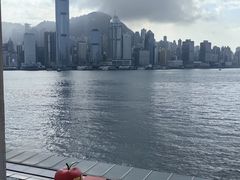 -海港城