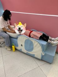 -星咔萌StarCamo儿童剪发(芳圆里IDMALL品牌形象店)